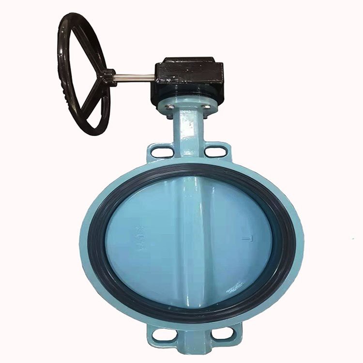 Center Line Butterfly Valve