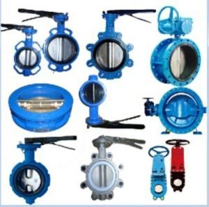 Van bướm mặt bích cho tàu